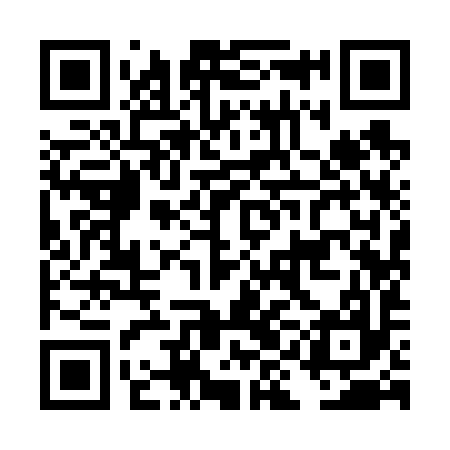 QR code for DII697