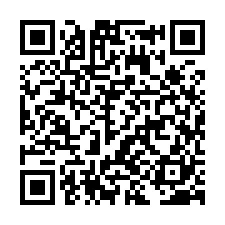 QR code for DII920