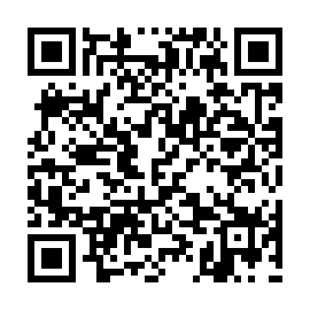 QR code for DII979