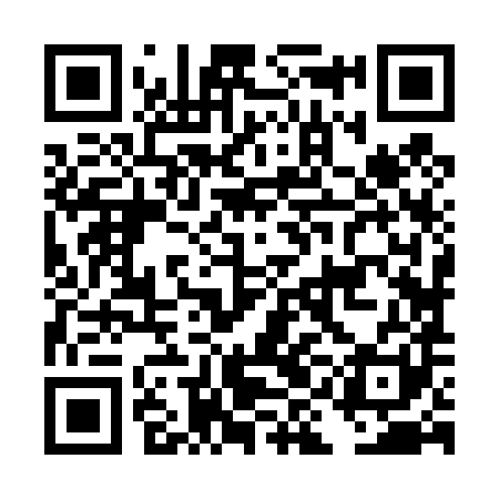 QR code for DIJ481