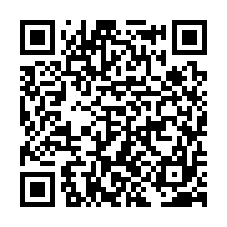 QR code for DIK317