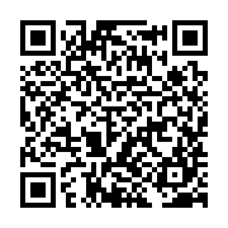 QR code for DIK384