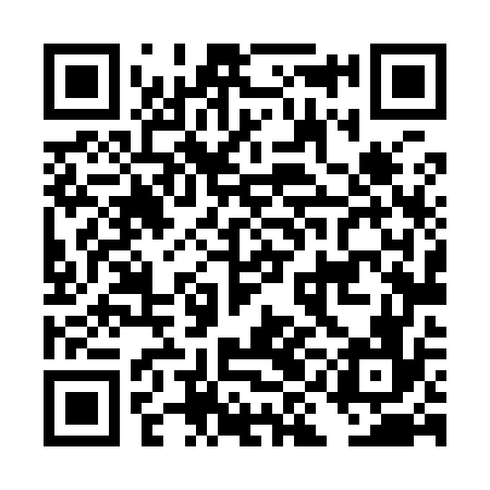 QR code for DIL976
