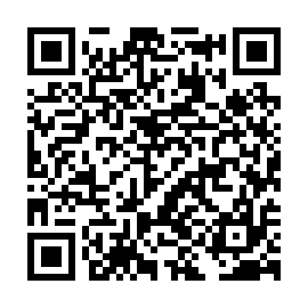 QR code for DIM217