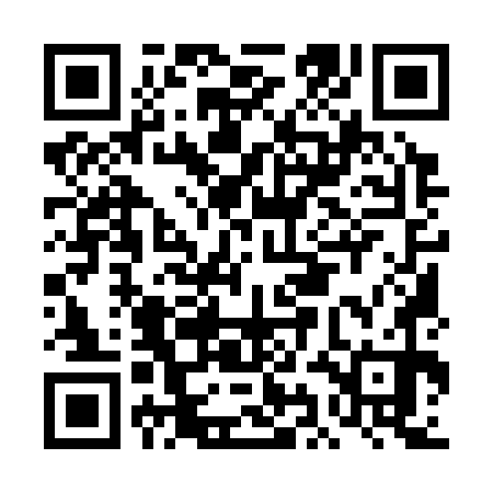 QR code for DIM370