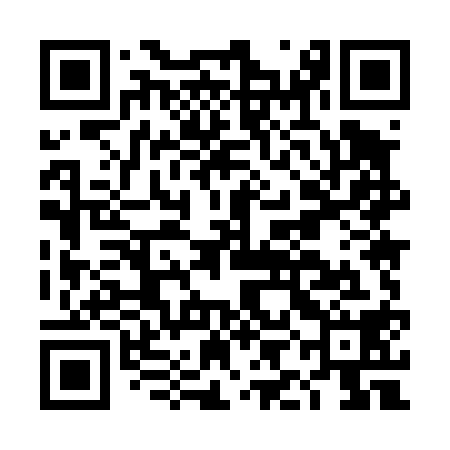 QR code for DIM418