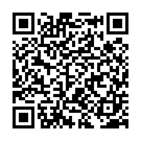 QR code for DIM503