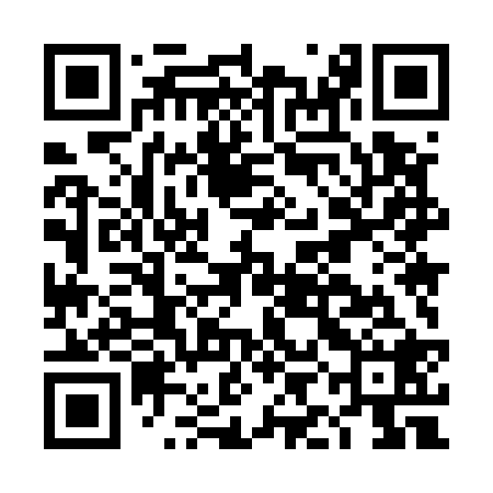 QR code for DIM528