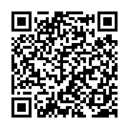 QR code for DIM650