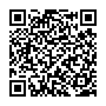 QR code for DIM655