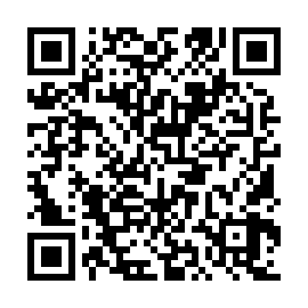 QR code for DIM868