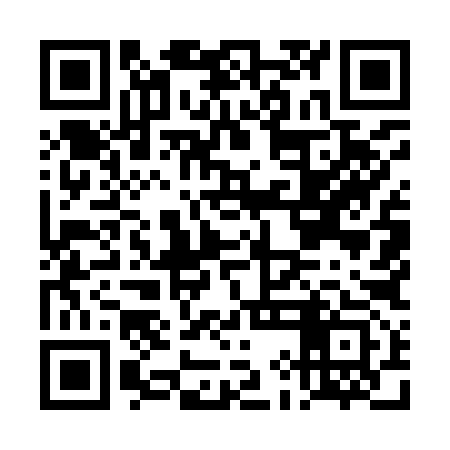 QR code for DIM993