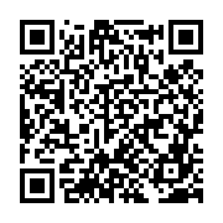 QR code for DIO466