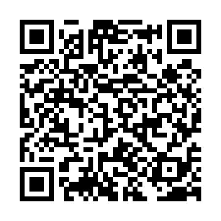 QR code for DIO519