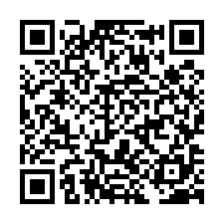 QR code for DIO595