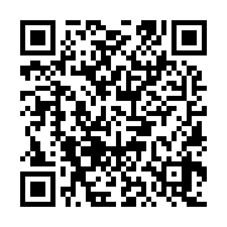 QR code for DIO938