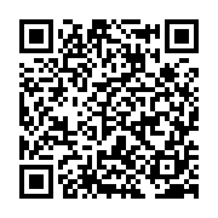 QR code for DIO950