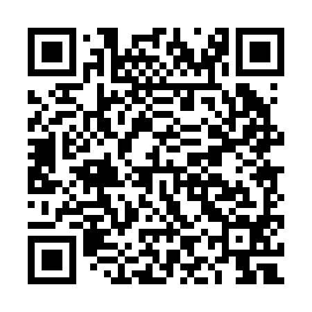 QR code for DIP294