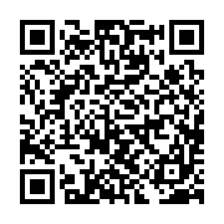 QR code for DIP397
