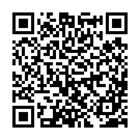 QR code for DIP687
