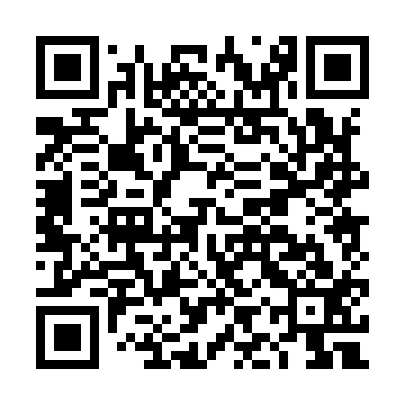 QR code for DIP913
