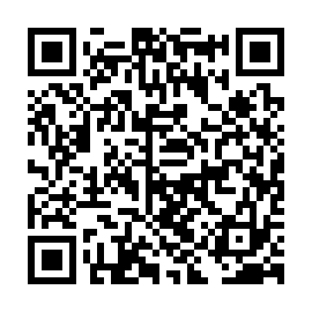 QR code for DIQ333