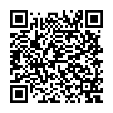 QR code for DIQ594