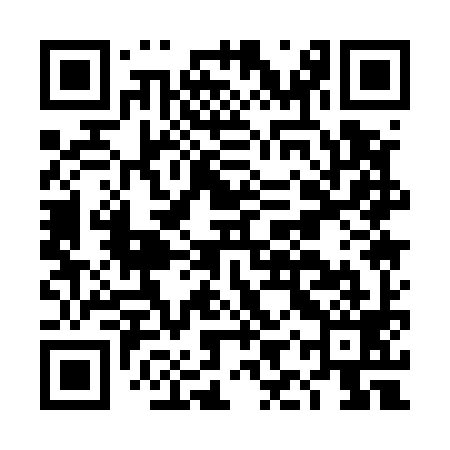 QR code for DIQ599