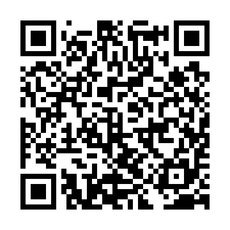 QR code for DIQ795