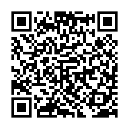 QR code for DIR009