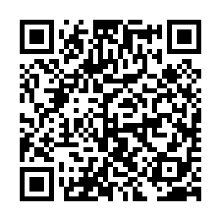 QR code for DIR018
