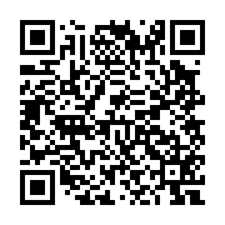 QR code for DIR055