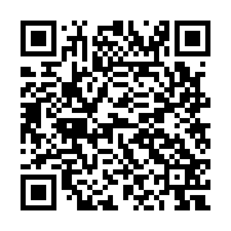 QR code for DIR123