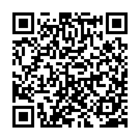 QR code for DIR305
