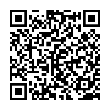 QR code for DIS011