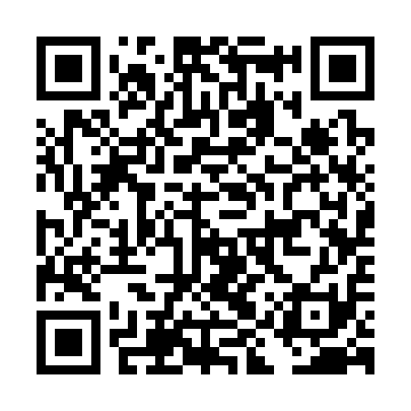 QR code for DIS311