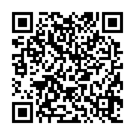 QR code for DIS336