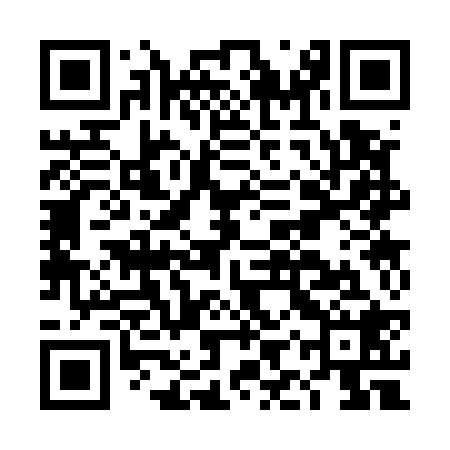 QR code for DIS528