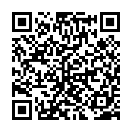 QR code for DIU095