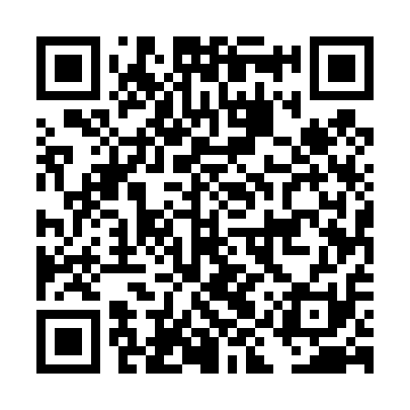 QR code for DIU411