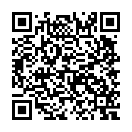 QR code for DIU417