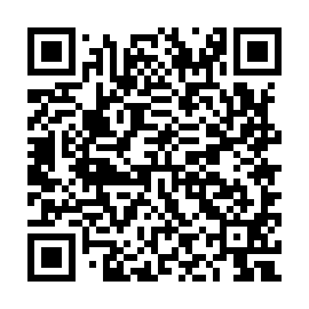 QR code for DIU991