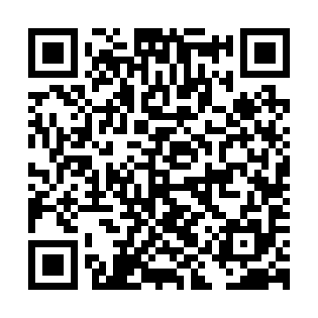QR code for DIV295