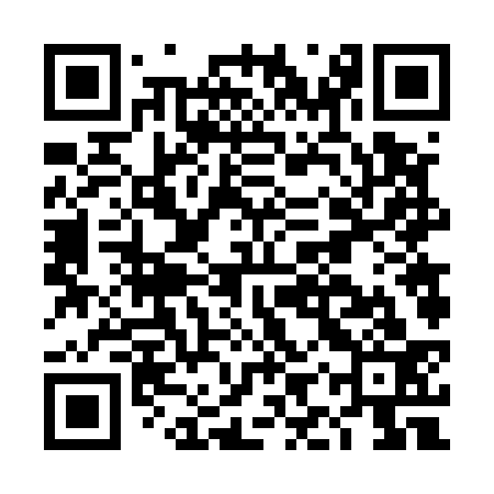 QR code for DIV533