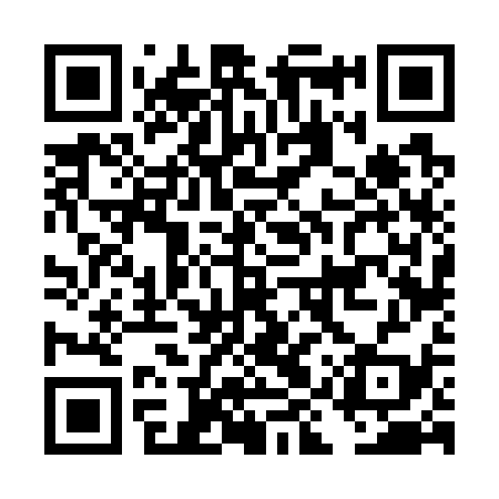 QR code for DIV739