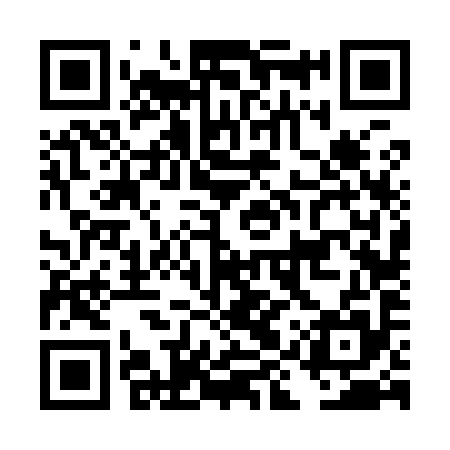 QR code for DIV995