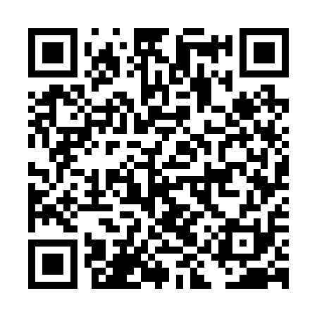 QR code for DIW211