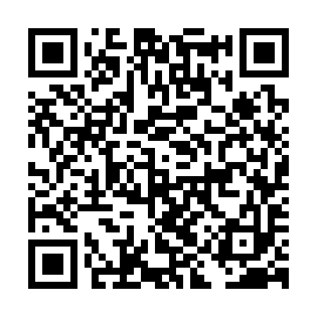 QR code for DIW393