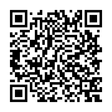 QR code for DIX171