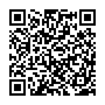 QR code for DIX217
